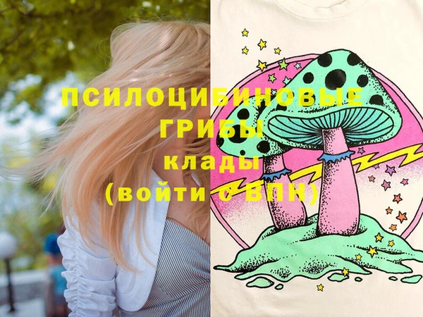 метадон Алексин
