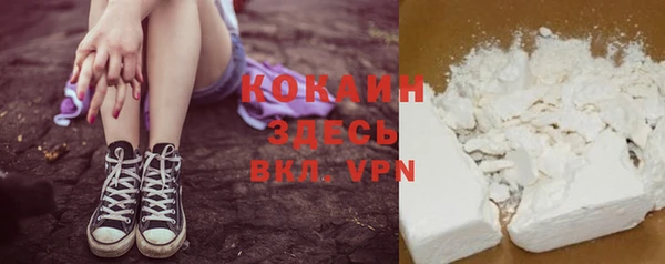 трава Снежногорск