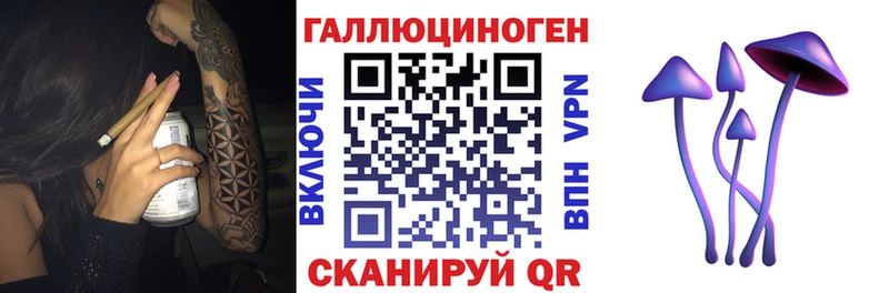 Галлюциногенные грибы Psilocybine cubensis  как найти наркотики  Скопин 