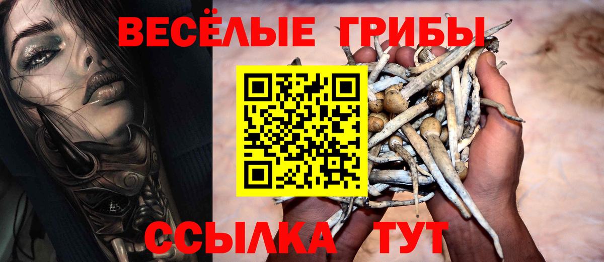 Скопин  Галлюциногенные грибы прущие грибы  наркошоп  Вход с VPN  Галлюциногенные грибы Psilocybine cubensis 