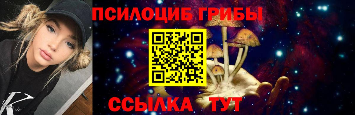 Галлюциногенные грибы Cubensis Скопин