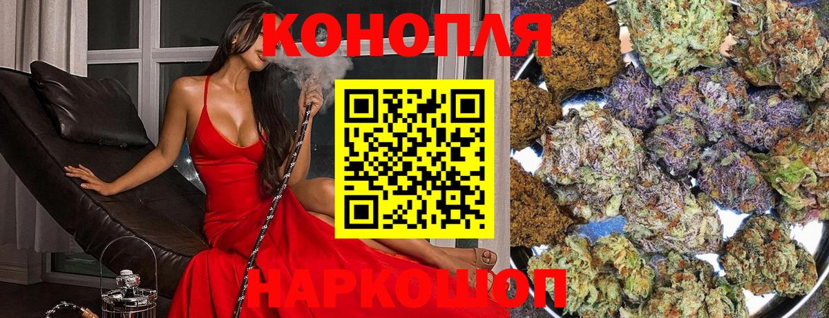 Скопин  Каннабис White Widow  Марихуана план  Бошки марихуана конопля  Вход с VPN 